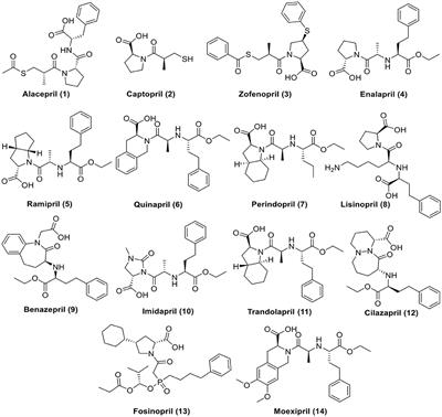 Molecular Docking and Dynamics Simulation Revealed the Potential Inhibitory Activity of ACEIs Against SARS-CoV-2 Targeting the hACE2 Receptor